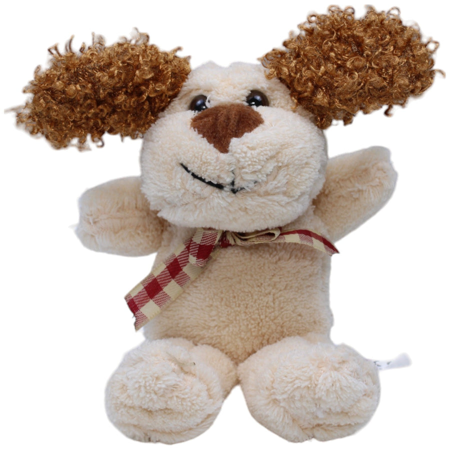 Kleiner Hund mit Locken-Ohren