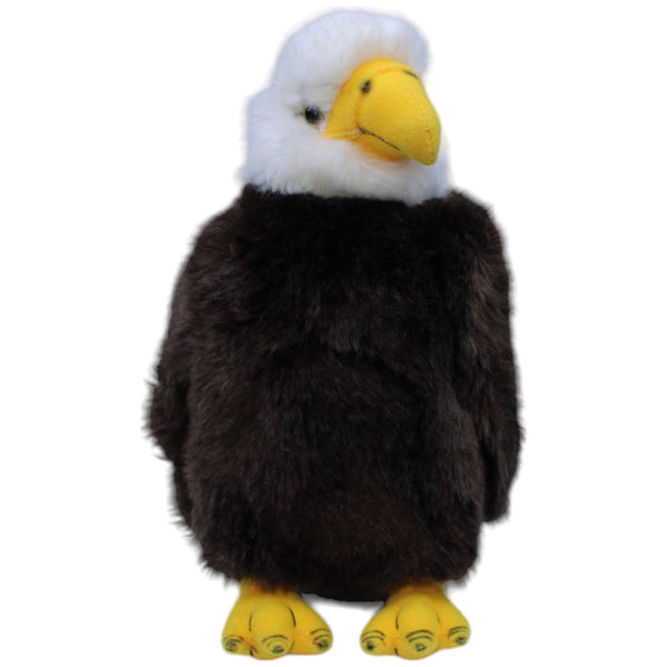Weißkopfseeadler, sitzend