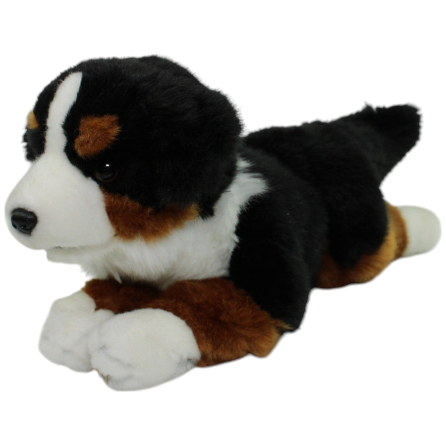 Leosco, liegender Berner Sennenhund