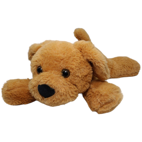 Süßer XL Hund, braun