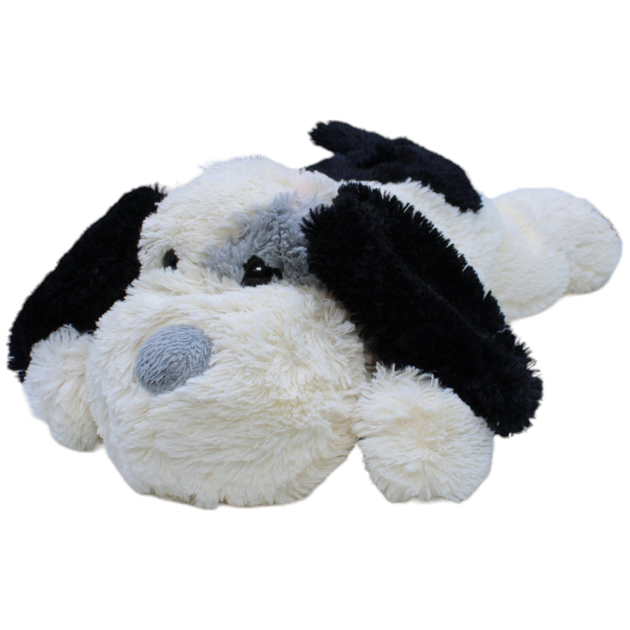 Süßer Hund mit Halstuch, liegend