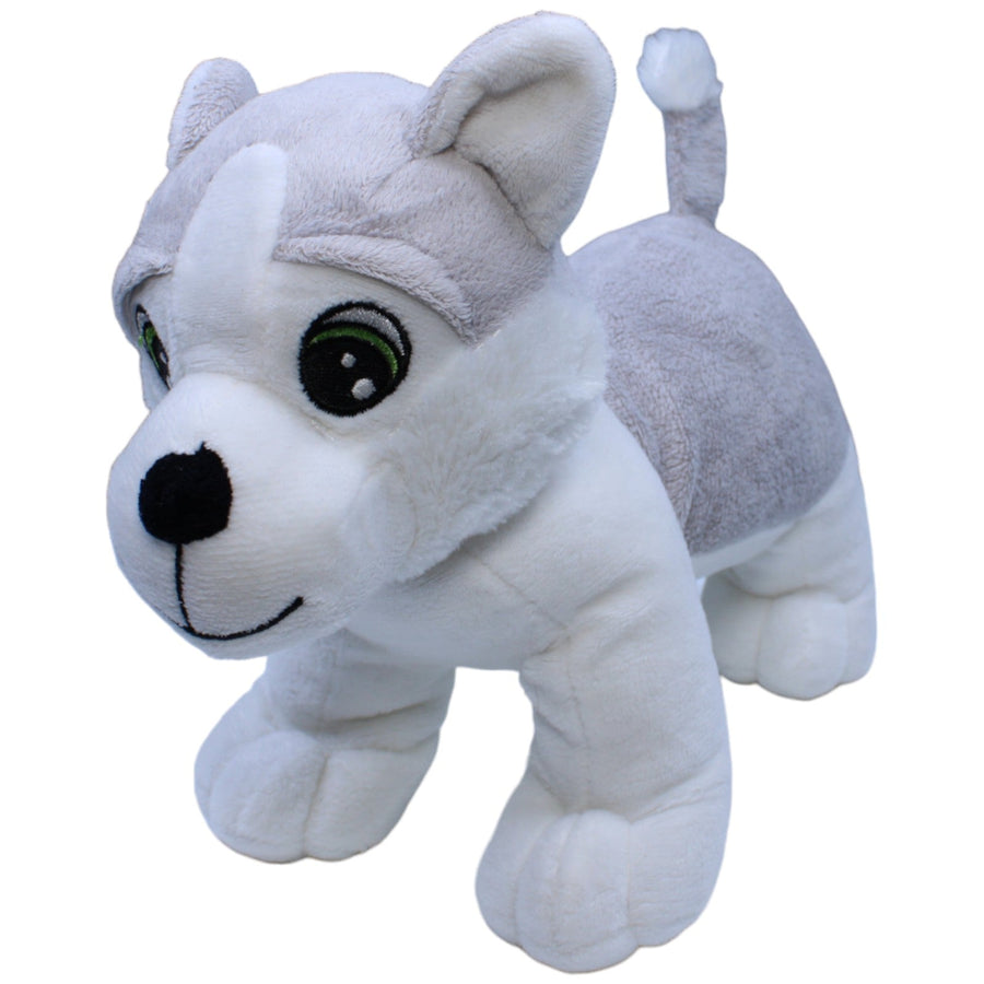 Süßer Husky Welpe, stehend