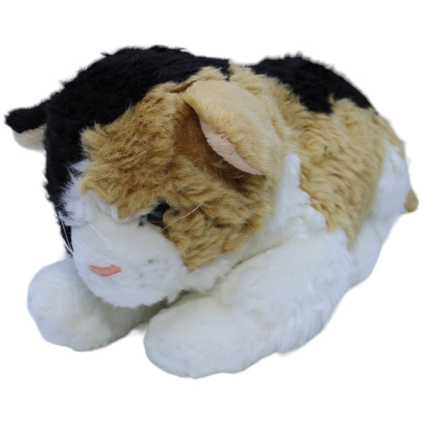Süße Hauskatze, 3-farbig