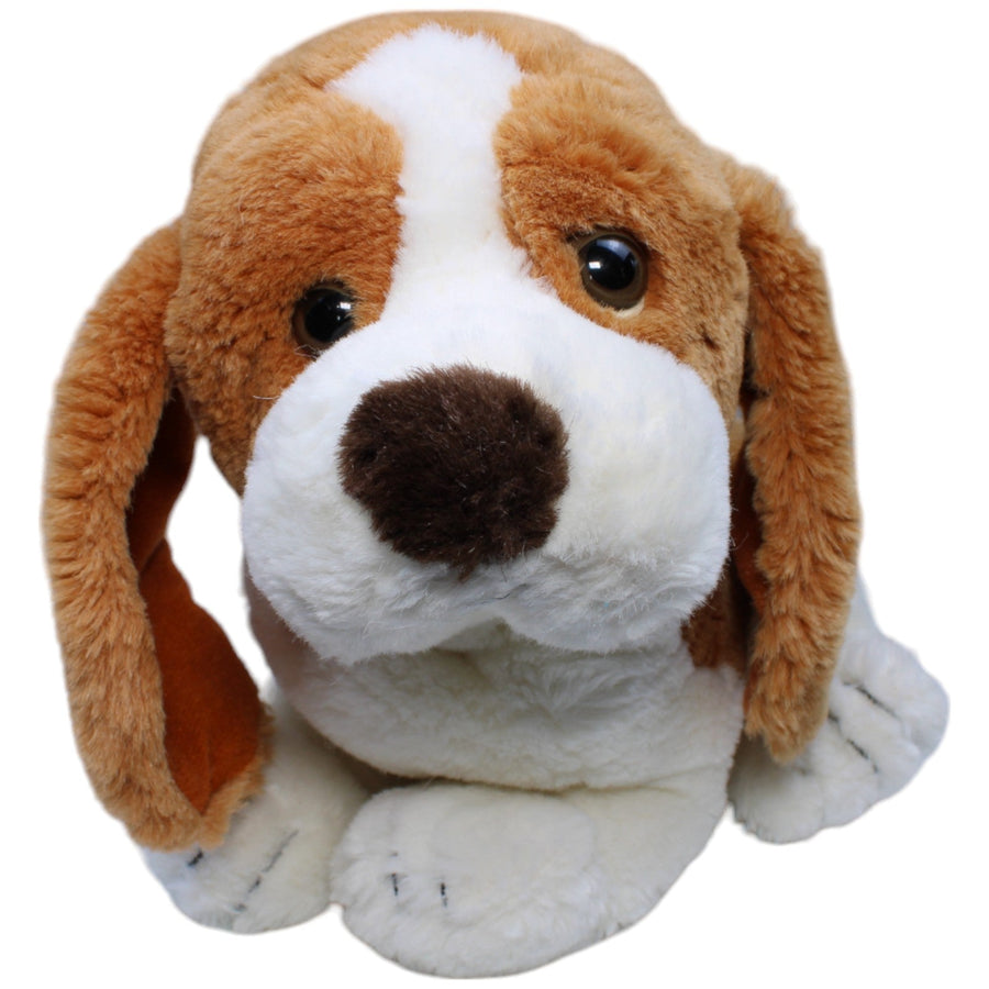 Süßer Basset Hound, Chunky