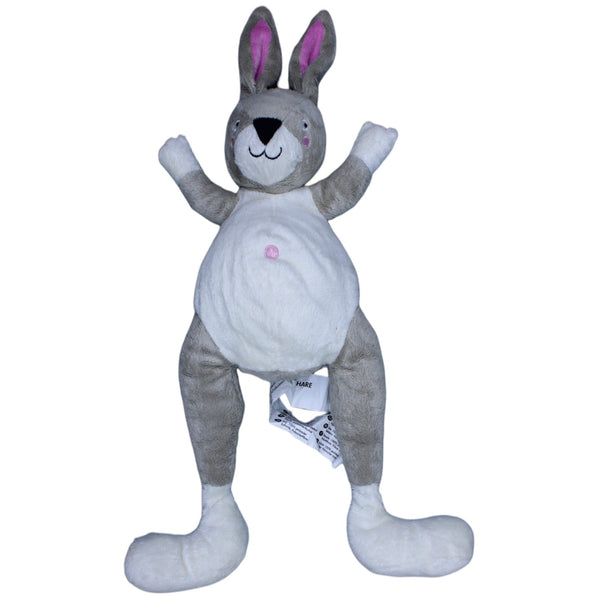 Hase, KLAPPAR HARE