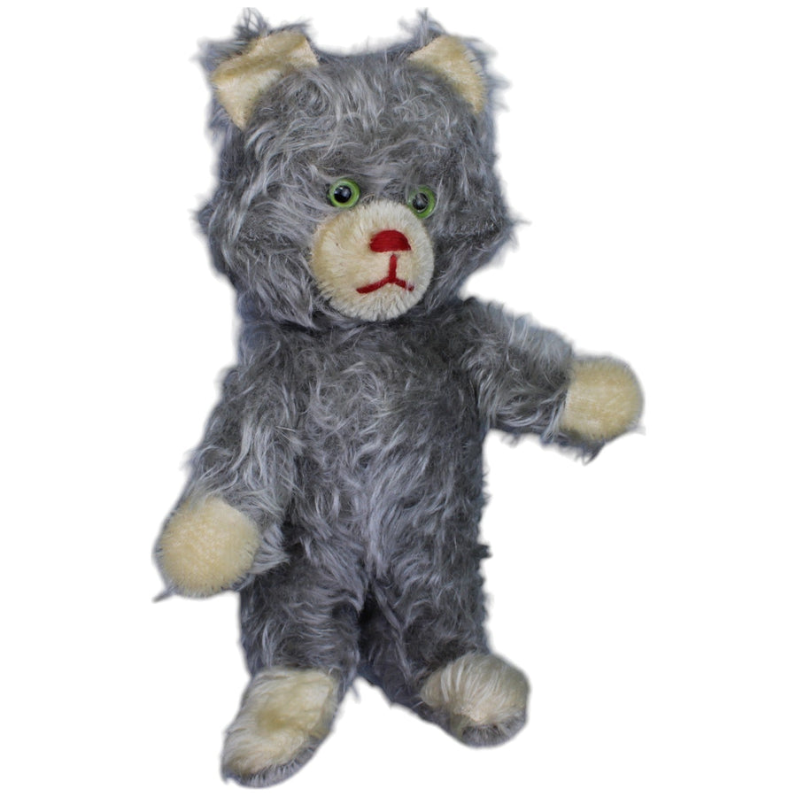 Katze mit grauem Fell