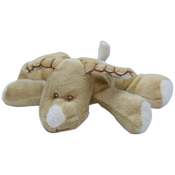 Süßer brauner Hund, liegend