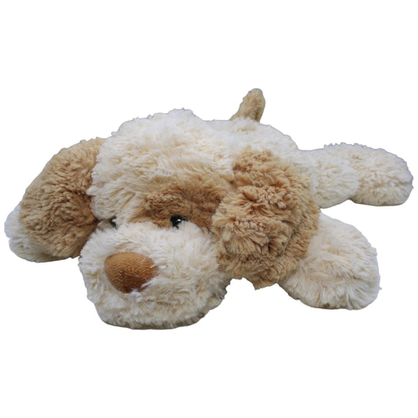 Süßer XL Hund liegend, beige