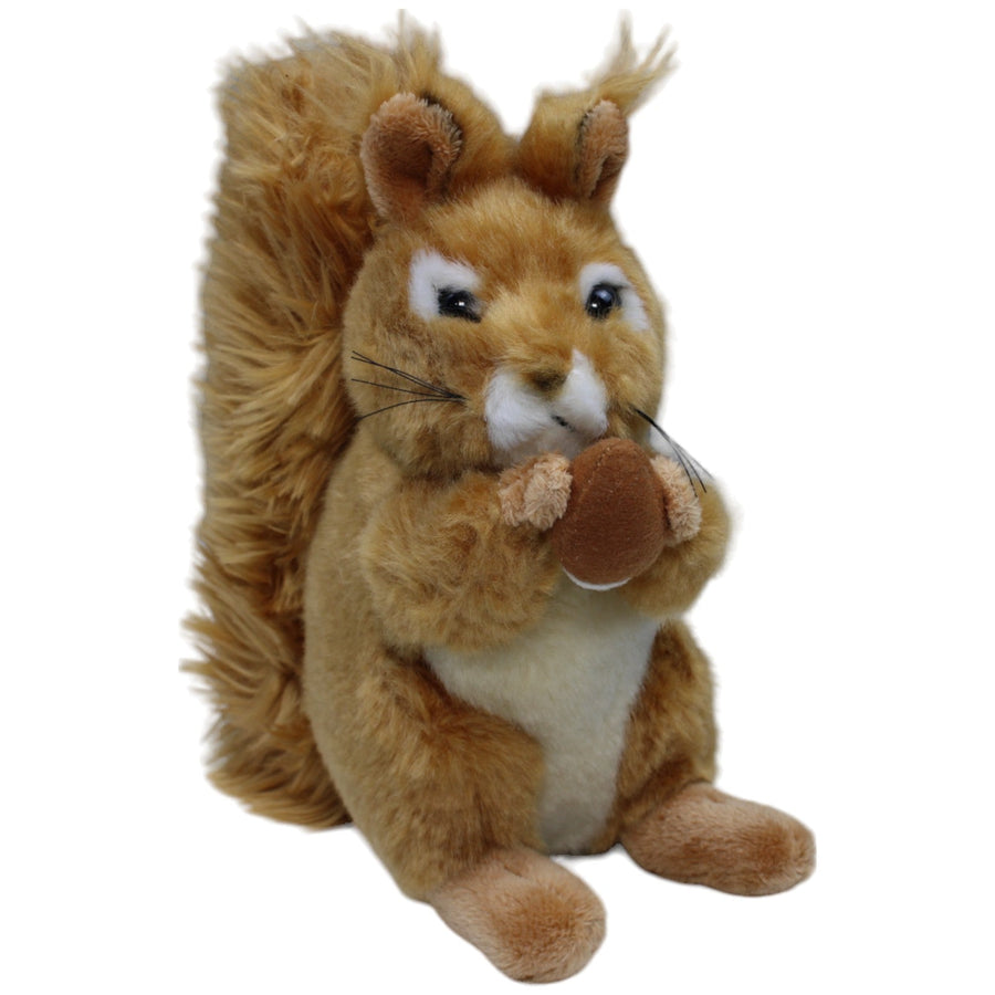 Hübsches Eichhörnchen mit Nuss