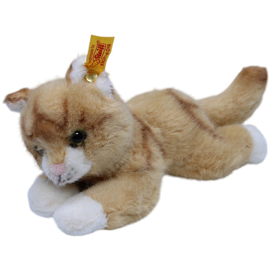 Mizzy Katze