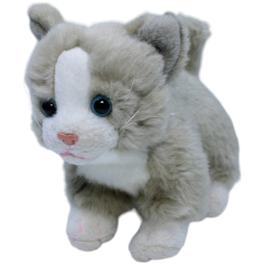 Kleine graue Katze