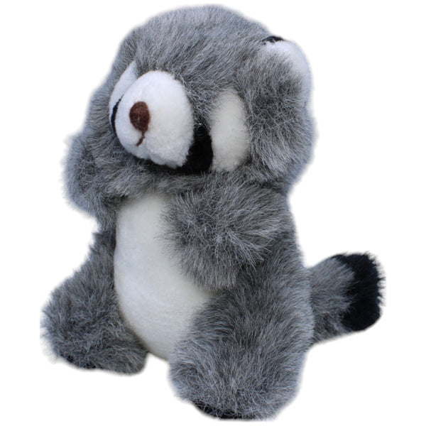 Waschbär, stehend