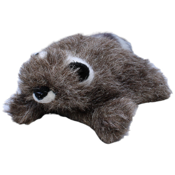 Waschbär