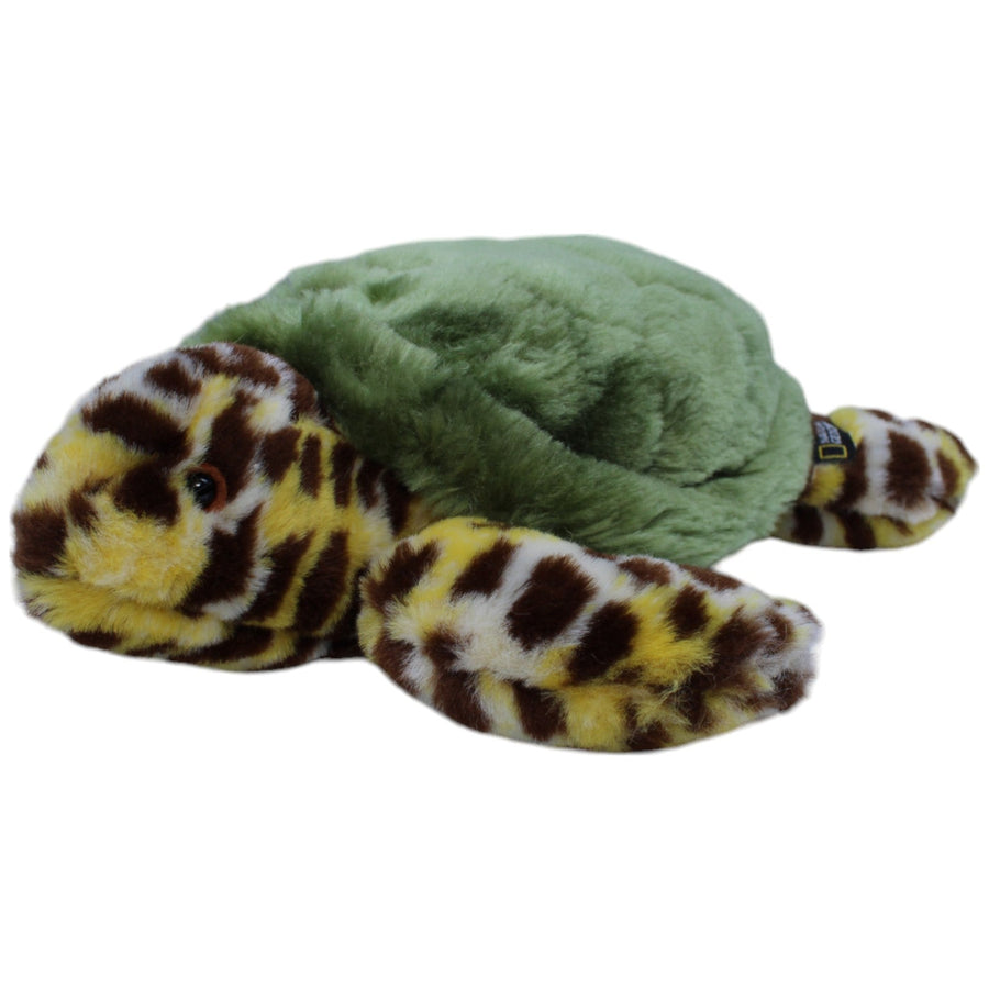 Schildkröte