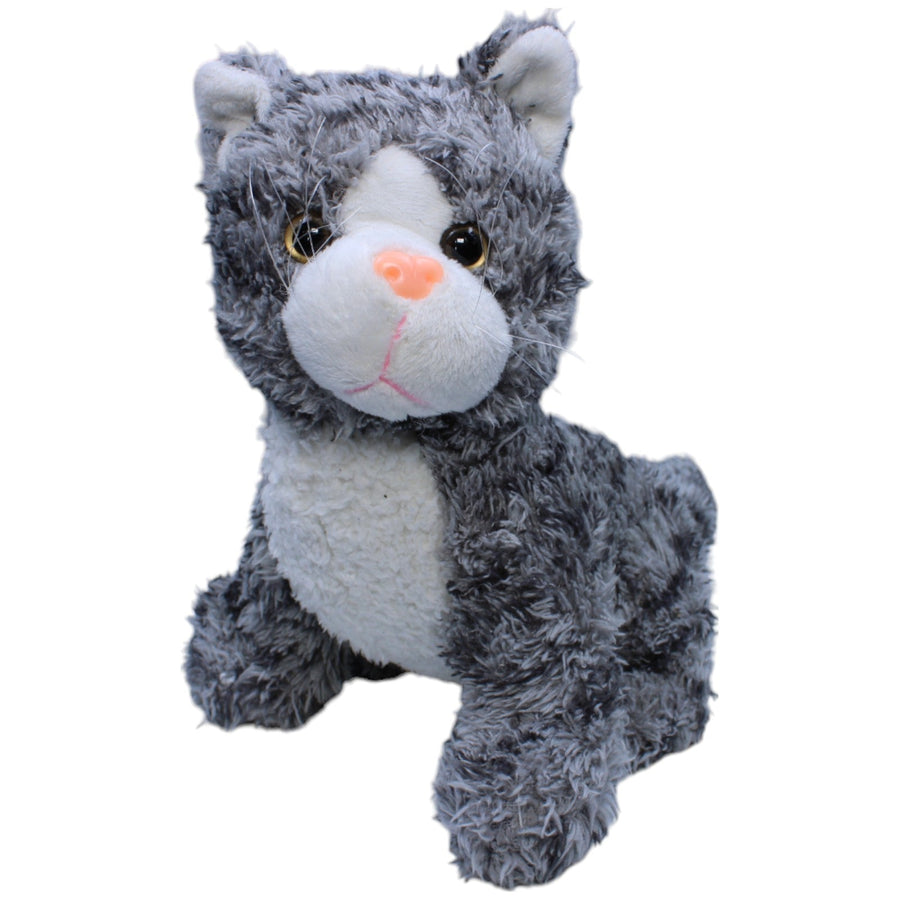 Süße grau-weiße Katze