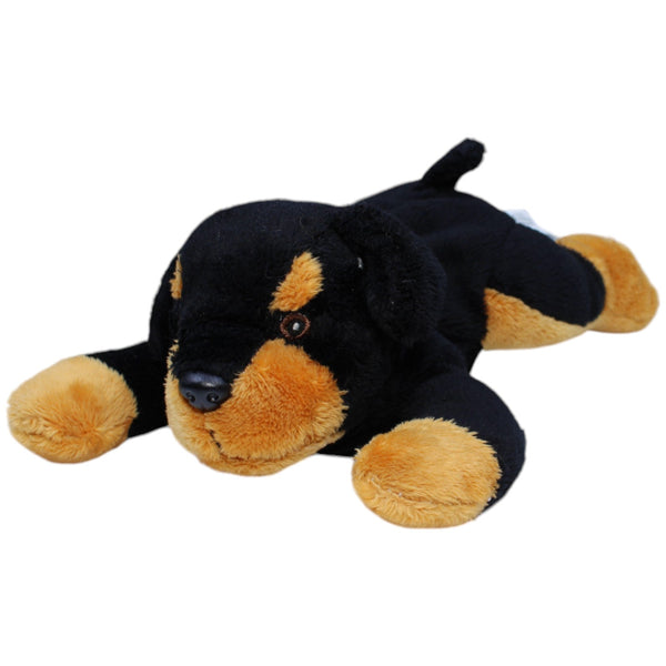 Rottweiler, liegend