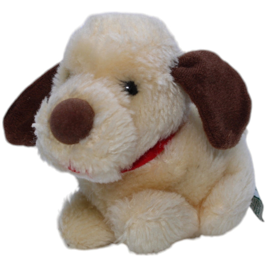 Süßer kleiner Hund