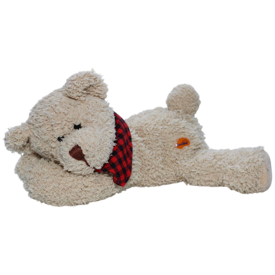 Teddybär mit rotem Halstuch, liegend