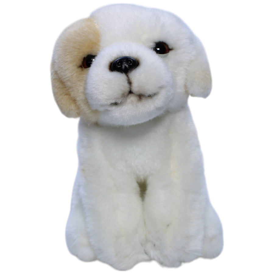 Süßer weicher Hund