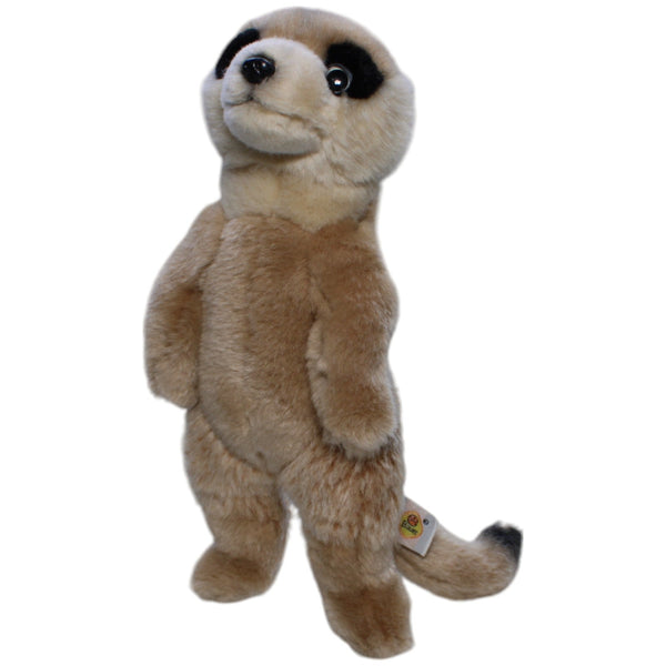Schönes stehendes Erdmännchen