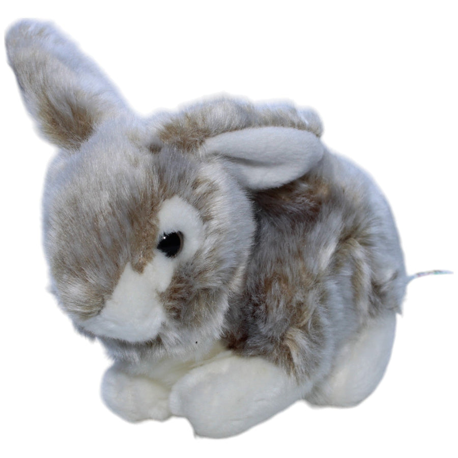 Schöner Hase
