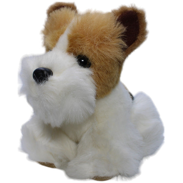 Fox Terrier
