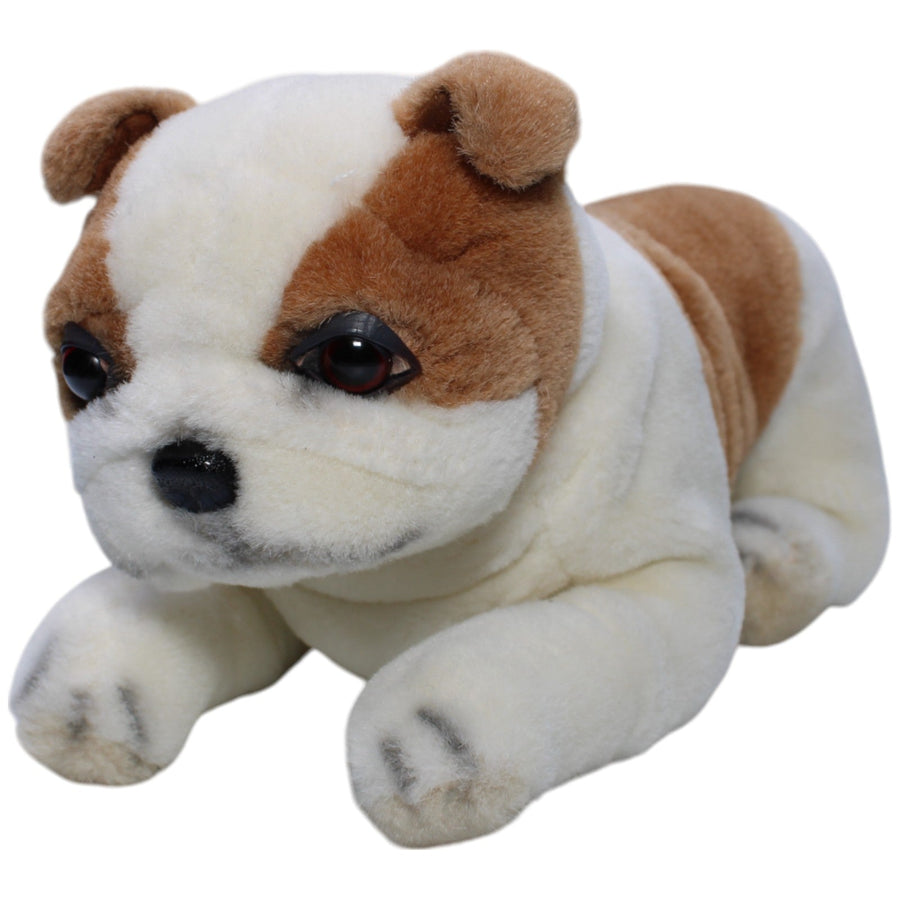 Bulldogge, braun-weiß