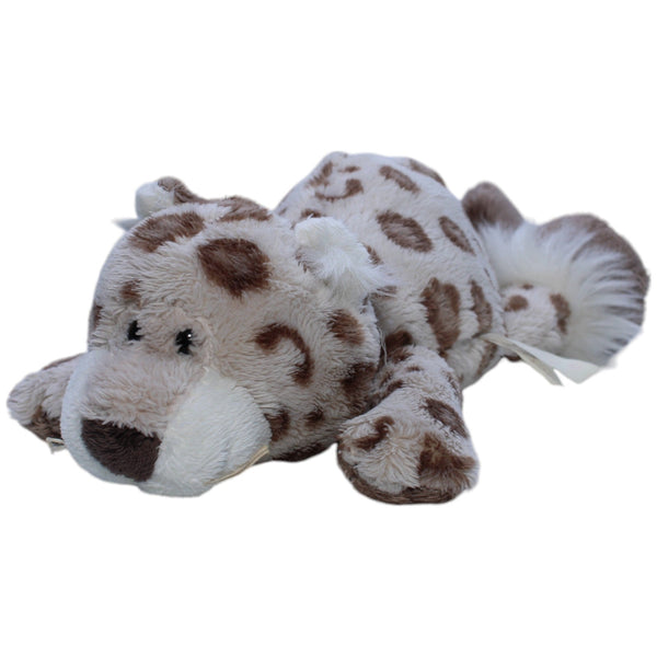 Leopard, liegend