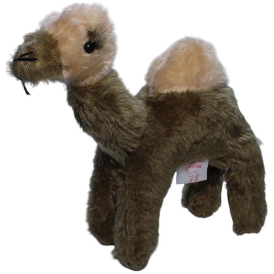 Kamel von Camel Zigaretten Marke