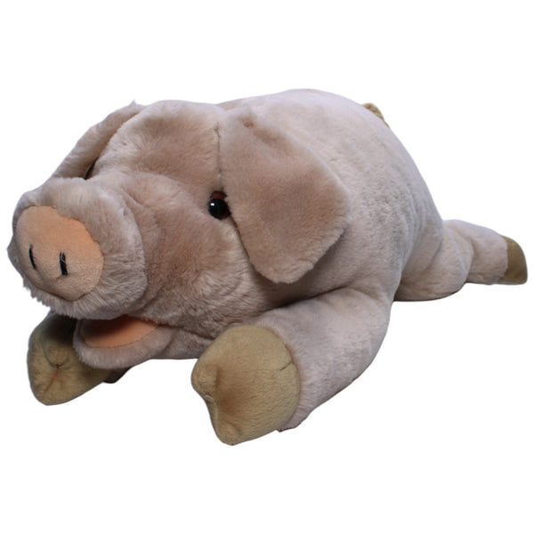 XXL Schwein