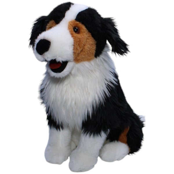Bellender Australian Shepard Hund