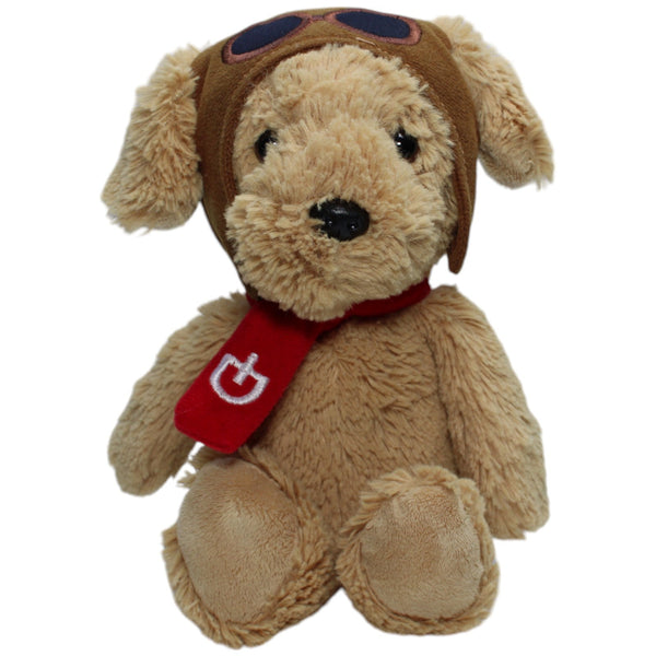 Hund mit Fliegermütze & Schal