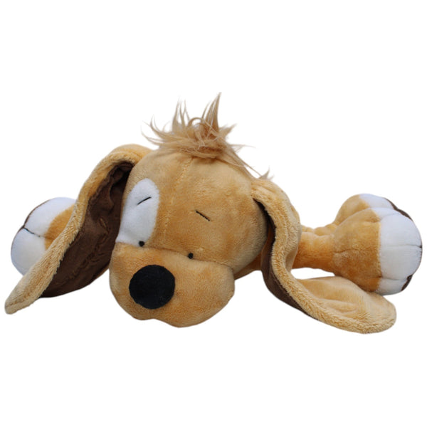 Hund Stoppel, liegend