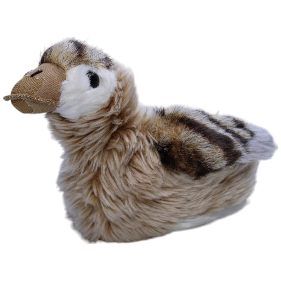 Entenküken