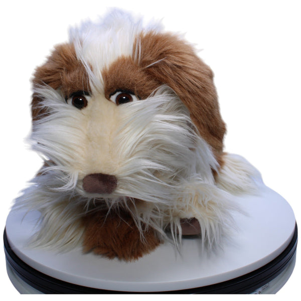 Hund, Tillmann