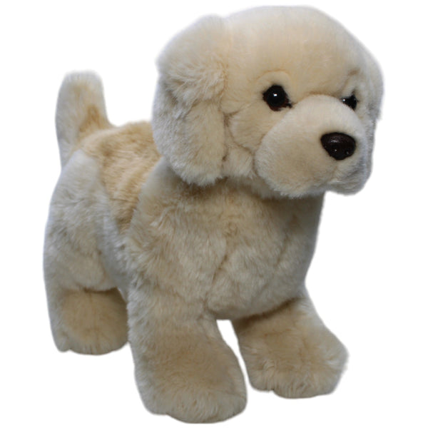 Superweicher Golden Retriever Welpe