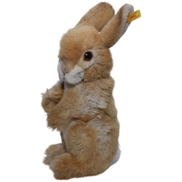 Hase Putsi, stehend