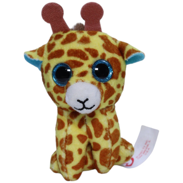 Happy Meal: Ty (2021), Safari