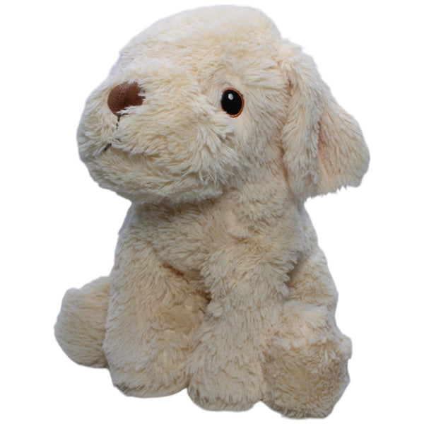 Großer Golden Retriever Welpe