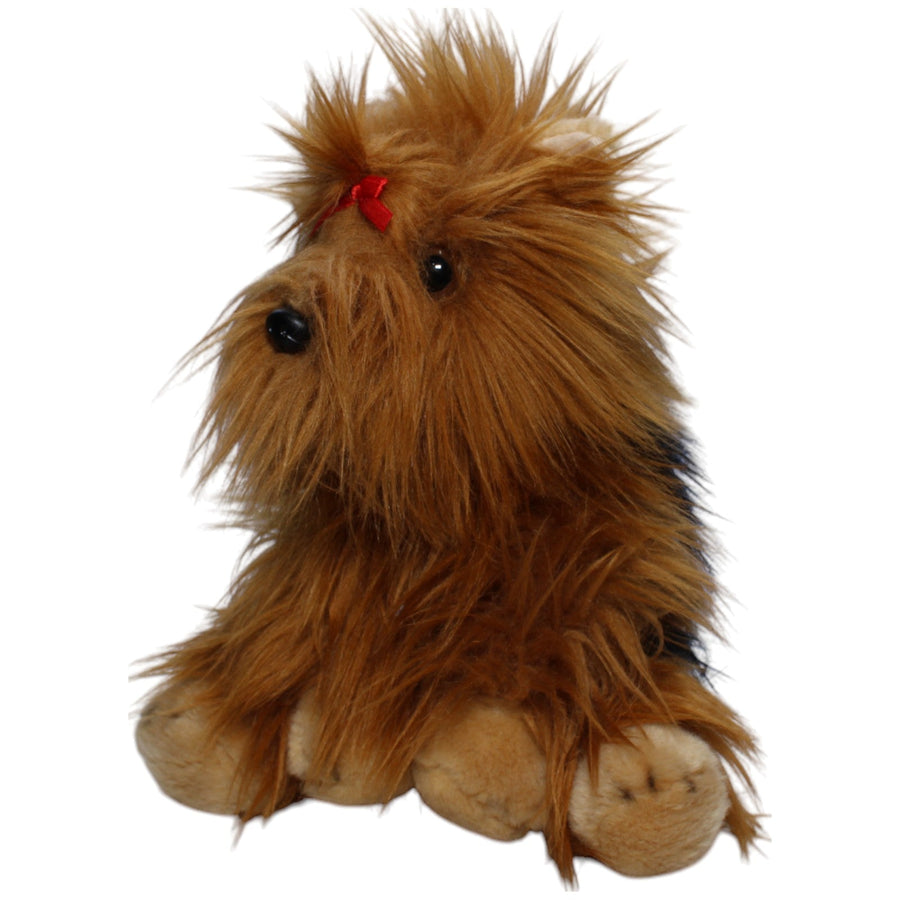 PAWS, Yorkshire Terrier