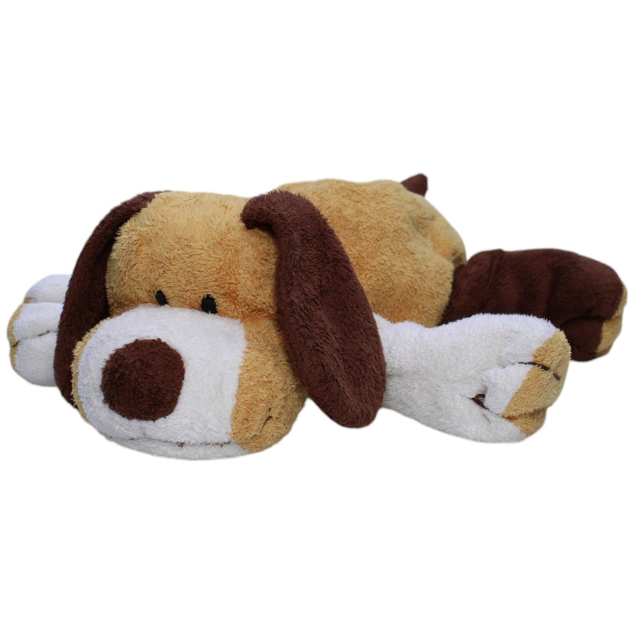 TyLux, dreifarbiger Hund