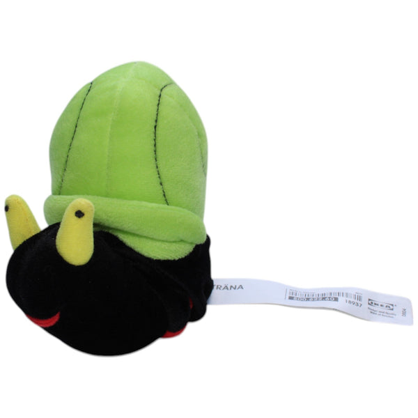 Schnecke, TRÄNA