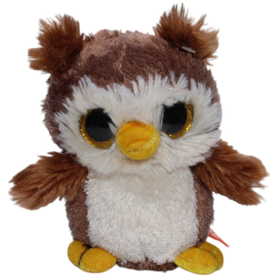 Kleine Eule
