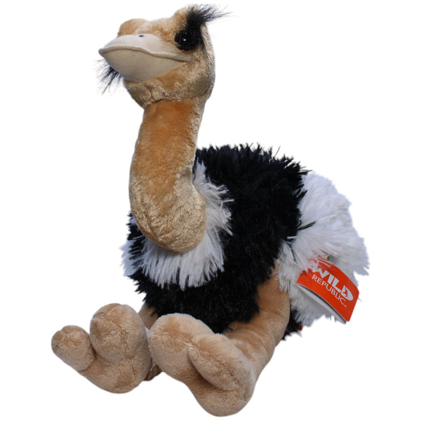 Vogel Strauß, groß