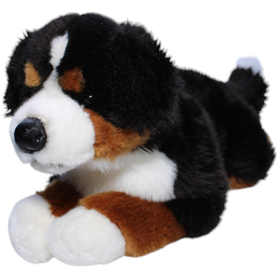 XL Berner Sennenhund