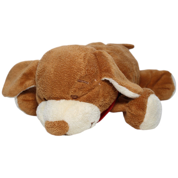 Noukie's, süßer Hund mit Halstuch