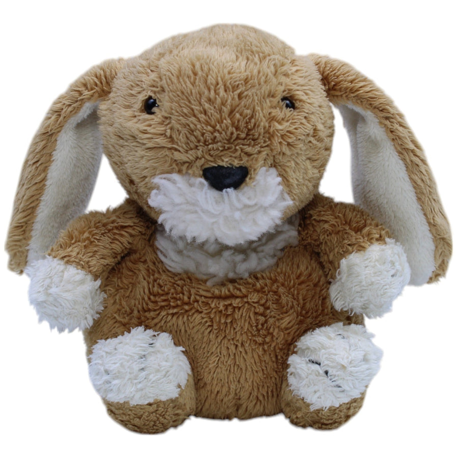 Hase braun