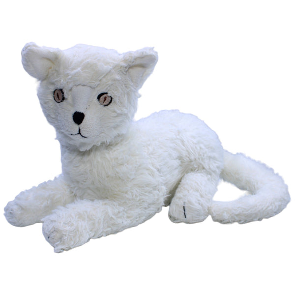 Weiße Katze, PÄLS