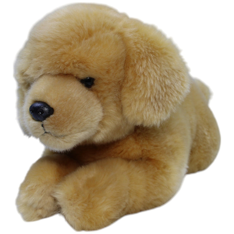 Golden Retriever Welpe, liegend