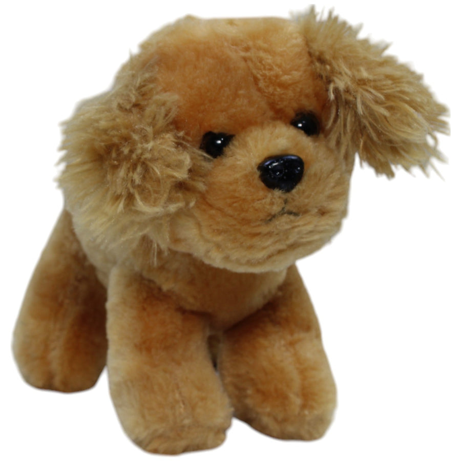 Cocker Spaniel Welpe